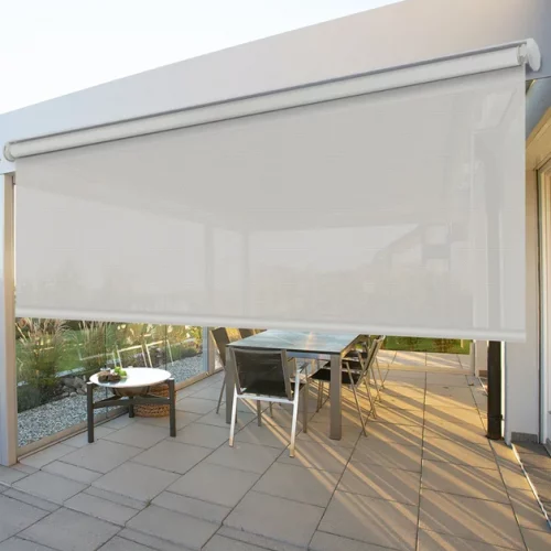 TOLDO IMG 6